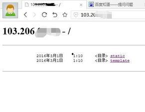 深圳网红磁力链接,带你探索这座城市的魅力角落