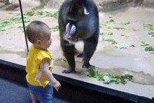 哆嗦搞笑图片,笑出腹肌的搞笑图片大盘点