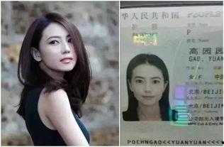 明星路照,揭秘明星路照背后的故事