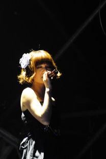 众明星对田馥甄的评价,田馥甄的星光熠熠