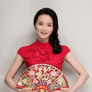 演员王艳个人资料,从古装美人到现代优雅,演艺生涯的多面风采